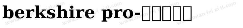berkshire pro字体转换